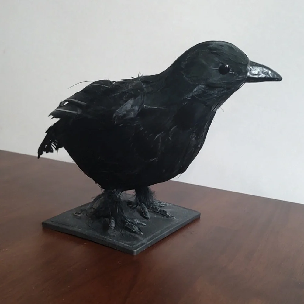 Black Raven Crow Sculpture Real Feathers Bird Halloween Decor Movie Set Prop - Picture 4 of 14